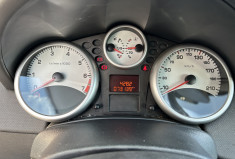 Peugeot 207 SW Style 1.4 VTI 95 cv