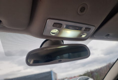 Renault LAGUNA 2.0 DCI 175 MONACO GP