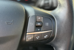 Ford Fiesta VII 1.0 SCTi EcoBoost S&S 140 cv VIGNALE BVM6