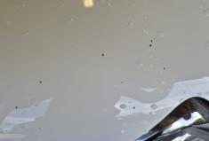 Citroën C3 BlueHDi 75ch Live