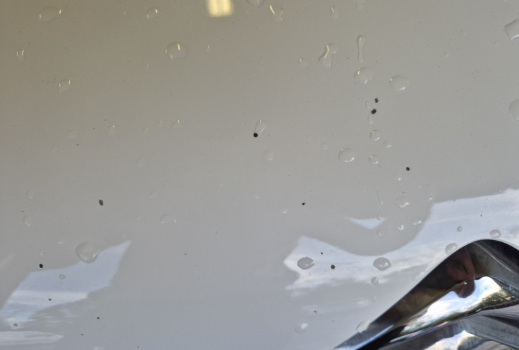 Citroën C3 BlueHDi 75ch Live