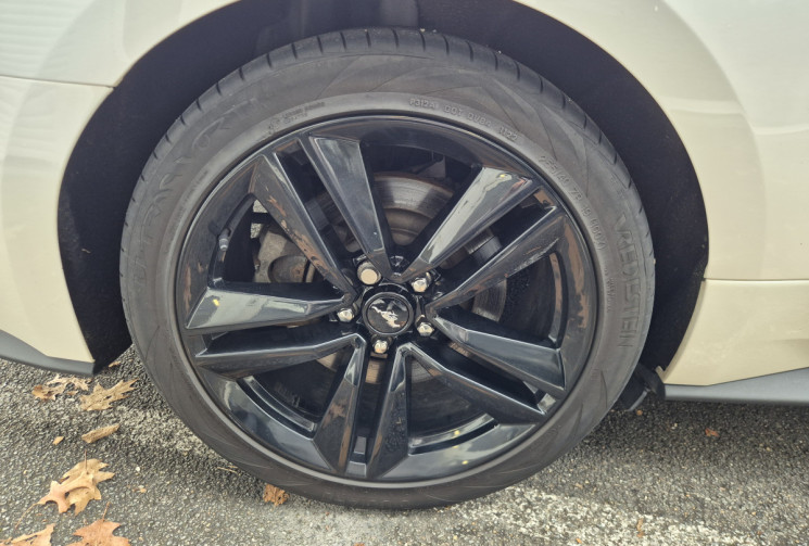 Ford MUSTANG 2.3 EcoBoost 317cv