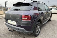 Citroën C4 CACTUS 1.6 BlueHDi 99 cv