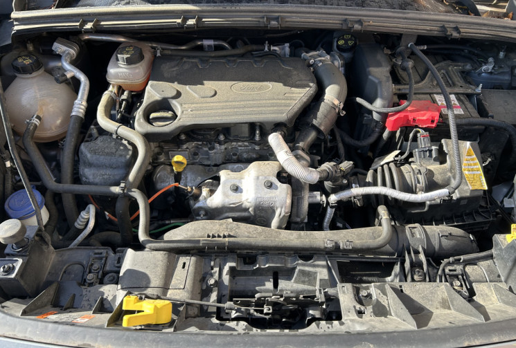 Ford Puma 1.5 EcoBlue 120 cv Titanium BMV6