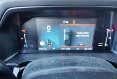 Ford Ranger IV DOUBLE CABINE 2.0 ECOBLUE 205 S&S 4X4 E-4WD WILDTRAK X BVA10