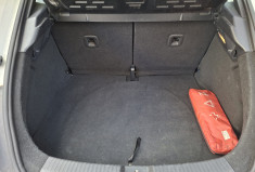 Volkswagen Coccinelle NEW BEETLE 1.6 TDI 105 CH ORIGIN