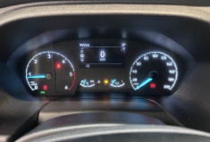 Ford TRANSIT CUSTOM FG Trail 170 ch TVA RECUPERABLE Cabine Approfondie L1H1 2.0 EcoBlue