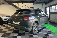 Citroën C4 CACTUS 1.6 Blue HDi 100 Feel Business ETG6