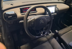 Citroën C4 CACTUS 1.2 110 S&S SHINE - Caméra - TBE 2EME MAIN  - entretien distrI ok - garantie 