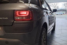Citroën C4 CACTUS 1.2 110 S&S SHINE - 2EME MAIN  -  CAMERA - ENTRETIEN SUIVI - DISTRI OK - GARANTIE