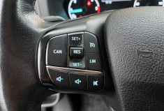 Ford Transit 2.0 TDCI ECOBLUE TURBO 160ch 20m3 PLANCHER BAS 