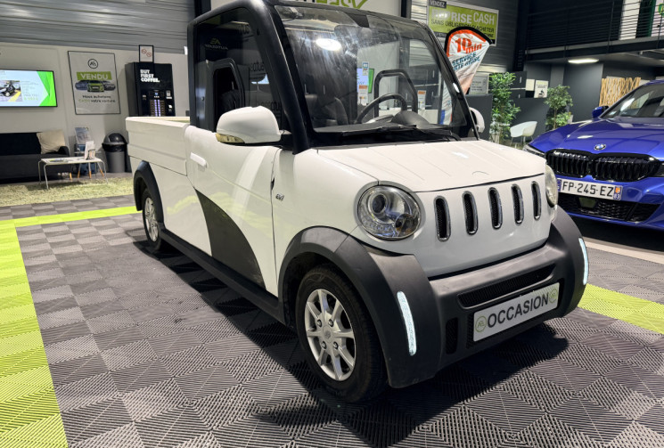 JIAYUAN City Cargo 45 EIDOLA CITY CARGO BENNE FIXE VU ELECTRIQUE