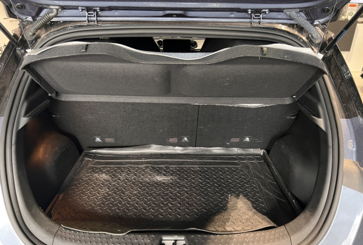 BYD Dolphin 60.4 KWH 204 CH DESIGN