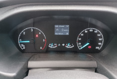 Ford Transit  2.0 TDCI ECOBLUE TURBO 130 CV ( moteur 113000 km ) finition trend business