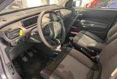 Citroën C4 CACTUS 1.2 110 CH RIPCURL BVM5 