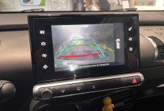 Citroën C4 CACTUS 1.2 110 CH RIPCURL BVM5 