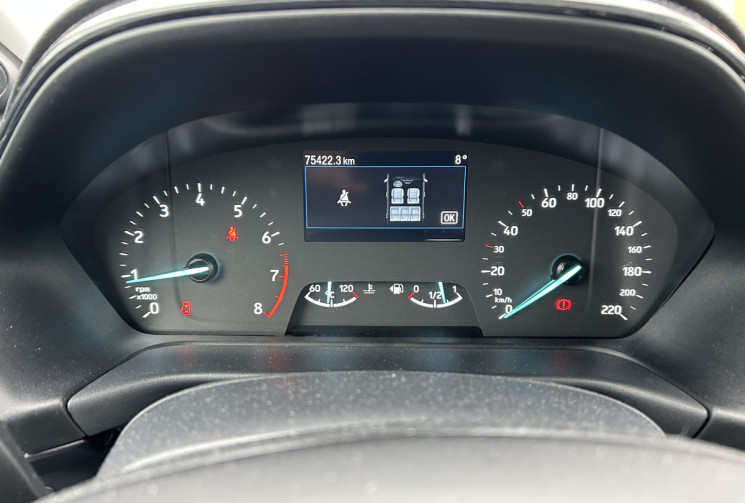 Ford Puma 1.0 Flexfuel/Ethanol E85  125 cv TITANIUM