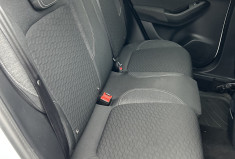 Ford Puma 1.0 Flexfuel/Ethanol E85  125 cv TITANIUM