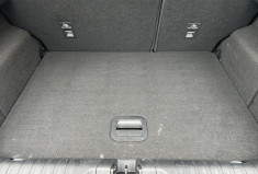 Ford Puma 1.0 Flexfuel/Ethanol E85  125 cv TITANIUM