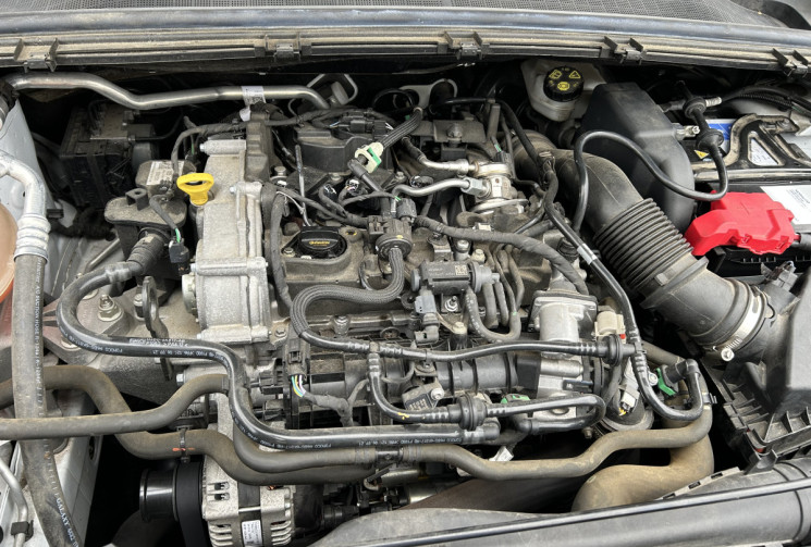 Ford Puma 1.0 Flexfuel/Ethanol E85  125 cv TITANIUM