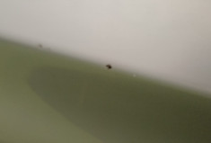 Kia Picanto 1.0 Motion 5 portes / Suivi d’entretien complet