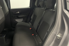 Citroën C3 E-C3 30kWh autonomie confort YOU
