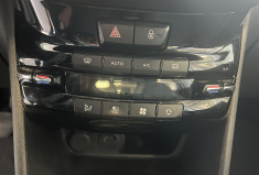 Peugeot 208  110 Tech Edition / CarPlay / Régulateur / Caméra de recul