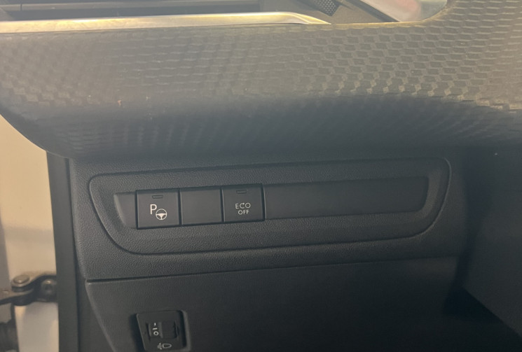 Peugeot 208  110 Tech Edition / CarPlay / Régulateur / Caméra de recul