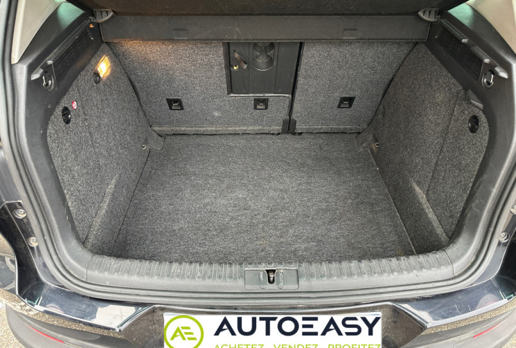 Volkswagen Tiguan 2.0 TDI 140 ch Technology FAP Carat 4Motion