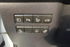 Lexus NX  300h 2.5 VVT-i 197 BUSINESS  