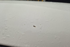 Toyota RAV4 124 D-4D Life Edition Toit ouvrant