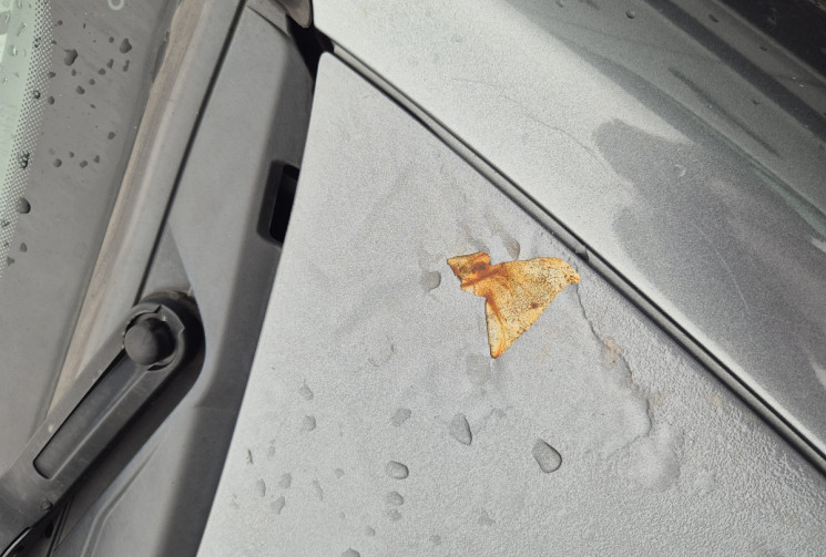 Lancia MUSA 1.4L 95 Gold Toit Ouvrant / Siège Cuir