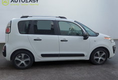 Citroën C3 Picasso 1.6 BlueHDi 100 cv
