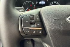 Ford Transit NUGGET WESTFALIA 2.0 150CH TRAIL BVM6