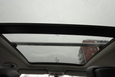 Volkswagen Tiguan I Phase 2 2.0 TDi DPF 4Motion 170 cv