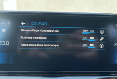 Peugeot 208 1.2i S&S 100 CH GT LINE BVM6