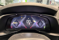 DS DS 7 Crossback 1.6 225 CH EAT8 PERFORMANCE LINE