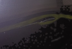 Ford Fiesta 1.4 TDCi 68 ch Trend / entretien à jour / factures disponibles