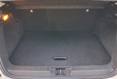 Renault Captur 1.0 TCe 100ch Business GPL