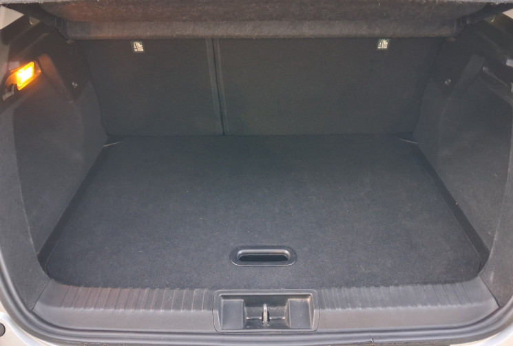 Renault Captur 1.0 TCe 100ch Business GPL