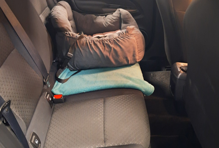 Nissan Juke II (F16) 1.0 DIG-T 117 ACENTA - CAMERA  SUIVI ENTRETIEN NISSAN - SUPERBE -