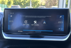 Peugeot 2008 GT Line 1.5 BlueHDI 130 EAT8 / Camera / Carplay / Entretien complet / GARANTIE 6 MOIS 