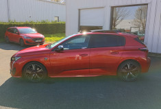 Peugeot 308  GT Pack BlueHDI 130 cv EAT8 *Full Option