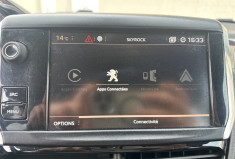 Peugeot 2008 1.6 BlueHDi S&S 120 cv BVM6 ALLURE