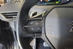 Peugeot 3008 GT PACK 1.6 THP 300  4 X 4 e-EA T8 1 ER MAIN PHASE 2