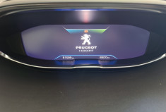 Peugeot 3008 GT PACK 1.6 THP 300  4 X 4 e-EA T8 PHASE 2