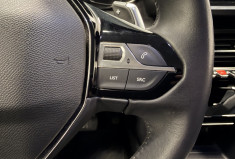 Peugeot 2008 1.5 Blue HDI 130 Allure EAT8