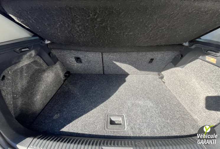 Volkswagen Polo V 5 portes 1.6 TDI FAP 90 cv