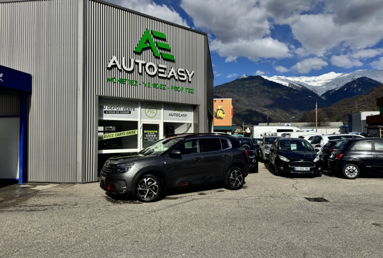 Citroën C5 Aircross BlueHDi 130ch S&S C-Series EAT8 E6.d