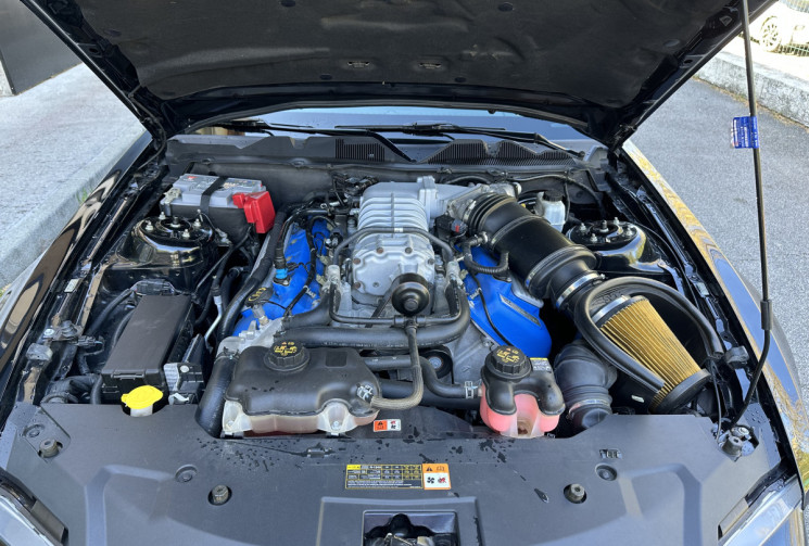 Ford MUSTANG SHELBY GT 500 Pack SVT 5.4 V8 550 ch Bloc Alu / Immat France / Echappement Borla